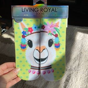 New pair of Llama socks 🦙🧦